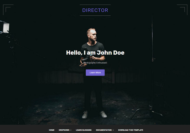 Director Blogger Template